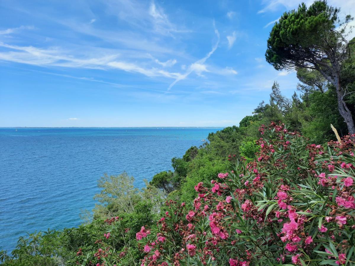 Agriturismo Ai Tre Sentieri Aurisina Buitenkant foto