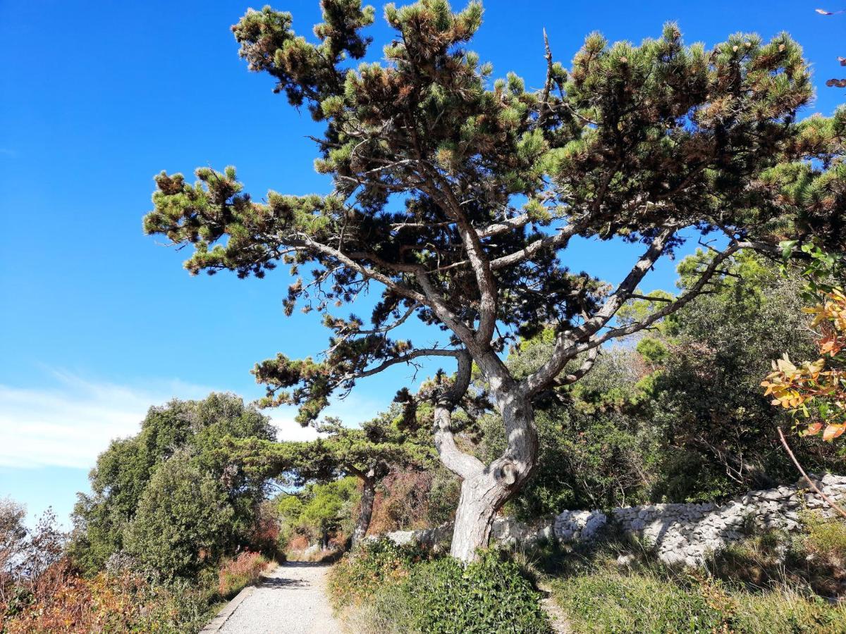 Agriturismo Ai Tre Sentieri Aurisina Buitenkant foto